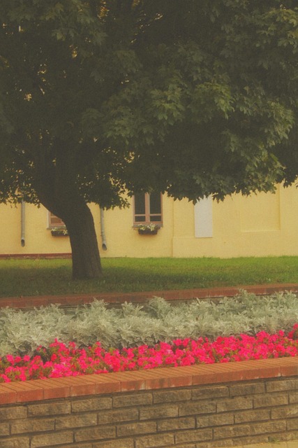 Naturaleza, Paisaje, Flores, Iglesia
