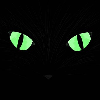 Free Cat Eyes illustration and picture