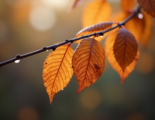 Free ai generated leaves fall illustration
