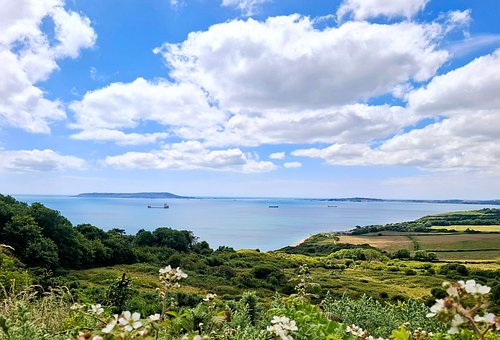 Free Dorset England photo and picture