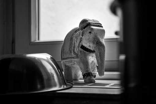 Elefante, Animal, Fauna Silvestre