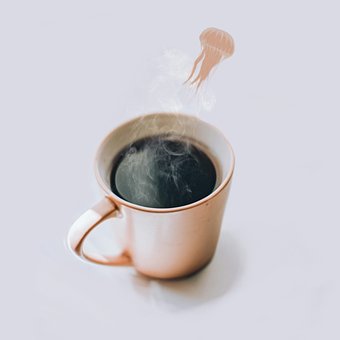 Free Cup Coffee photo and picture