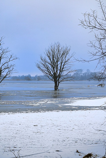 Schnee, Winter, Natur, Kalt, Eis, Frost