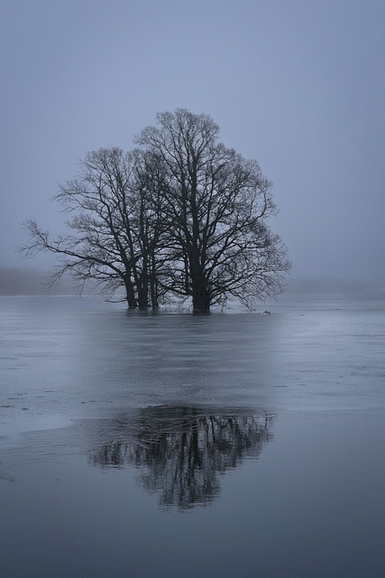 Schnee, Winter, Natur, Kalt, Eis, Frost