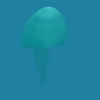 Free Sea Astonished illustration and picture
