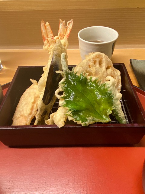 Free Tempura Japanese Meal photo and picture