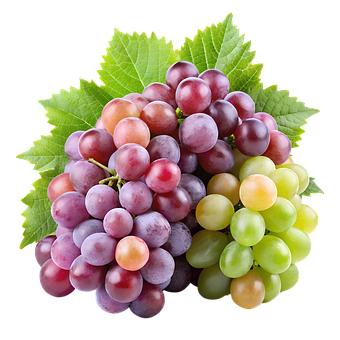 Free Ai Generated Grapes illustration and picture