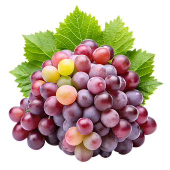 Free Ai Generated Grapes illustration and picture