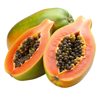 Free Papaya Nature illustration and picture