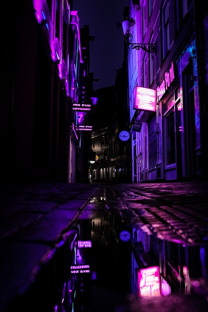 Amsterdam, Stadt, Café, Violett
