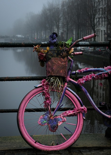 Rosa, Blumen, Fahrrad, Amsterdam, Stadt