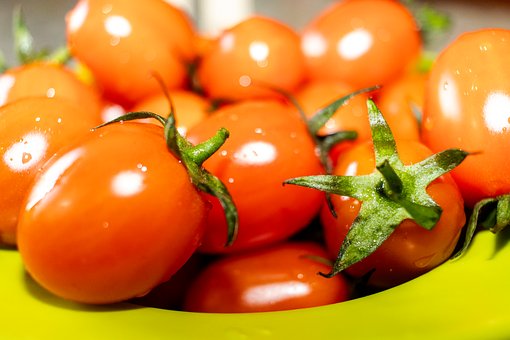Free Cherry Tomato Tomato photo and picture