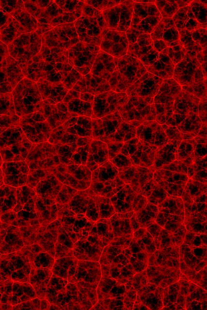 Free network organic cell illustration