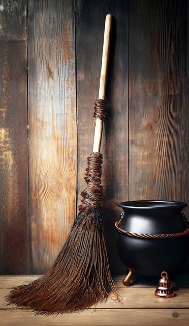 Free broom cauldron rustic illustration
