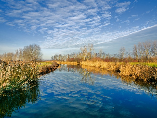 Natuur, Land, Bomen, Stroom, Water