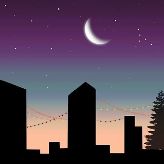 Free Illustrator Design illustration and picture