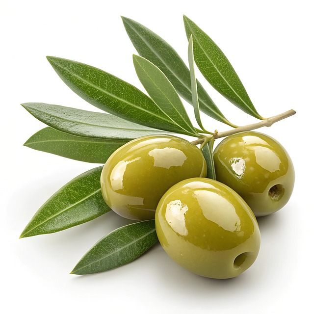 Free ai generated olive fruit illustration