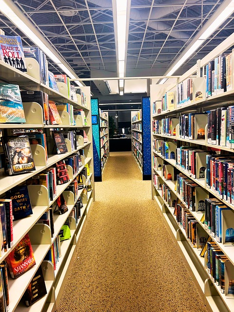 Bibliothek, Bücher, Lesen, Literatur