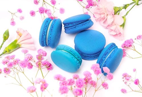 Free Cookie Chocolate photo and picture