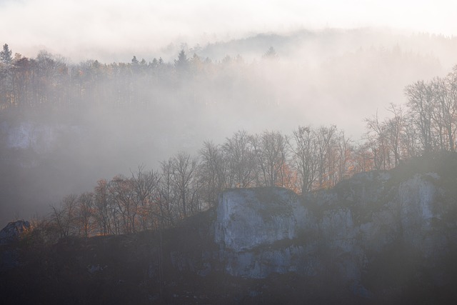 Free Foggy Landscape Fog photo and picture