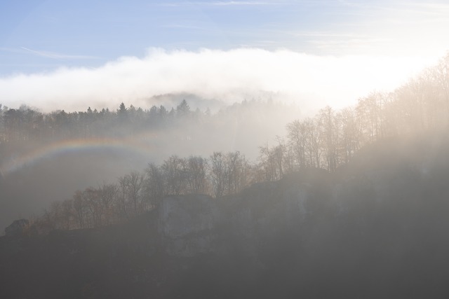 Free Neighboring Landscape Fog photo and picture