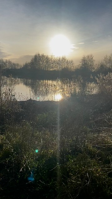 Free Sun Sunset photo and picture