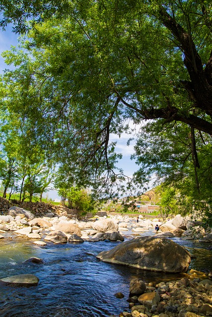 Free Stream River photo and picture