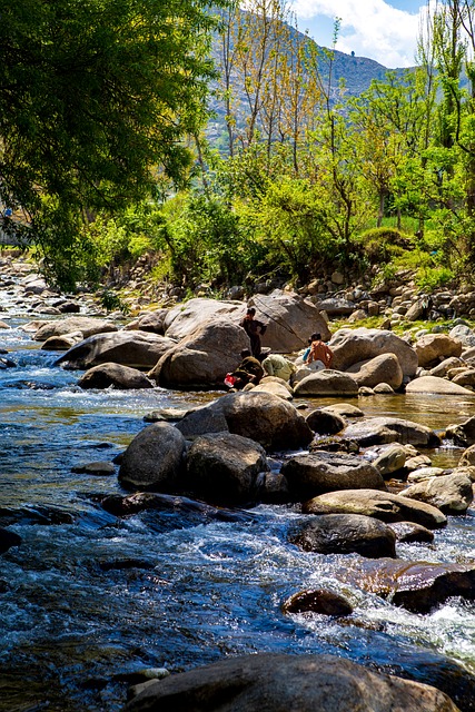 Free Water Nature photo and picture