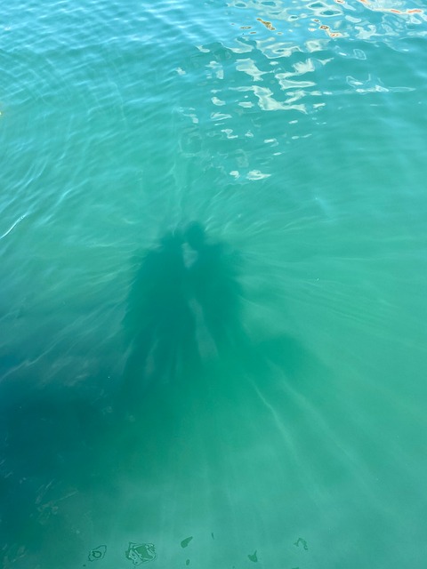 Schatten, Meer, Familie, Frieden, Reisen