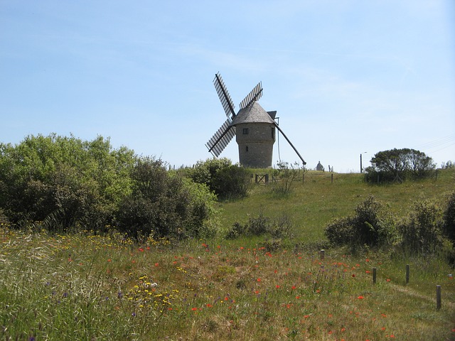 Free Nature Mill photo and picture