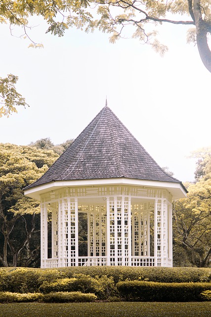 Free Singapore City photo and picture