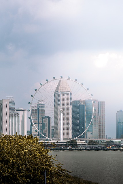 Free Singapore Flyer Singapore photo and picture