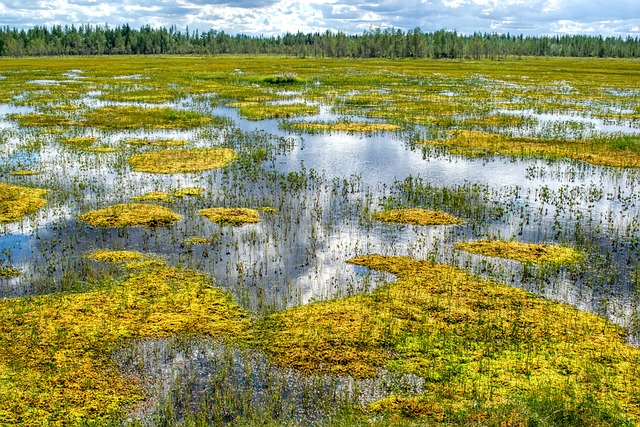 Free Lapland Nature Finland photo and picture