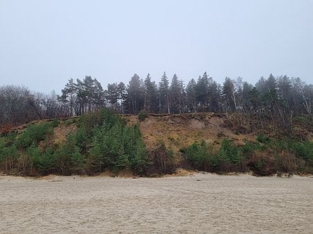 Praia, Floresta, Báltico, Mar, Polônia