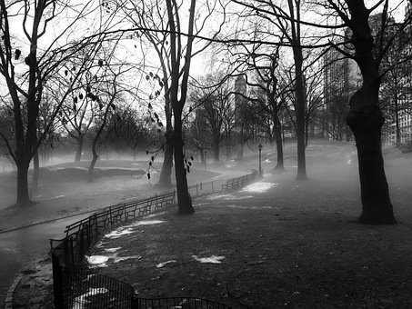 Central Park, Manhattan, Nyc, By