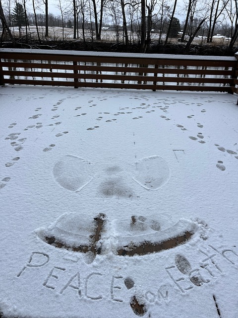 Free Snow Snow Angel photo and picture