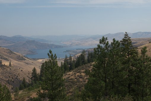 Free Lake Trees photo and picture