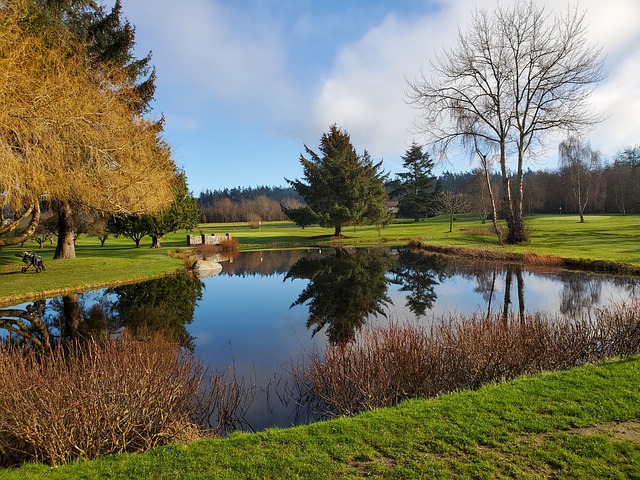 See, Golfen, Golf, Bäume, Golfplatz