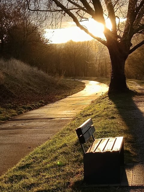 Free Nature Morning photo and picture