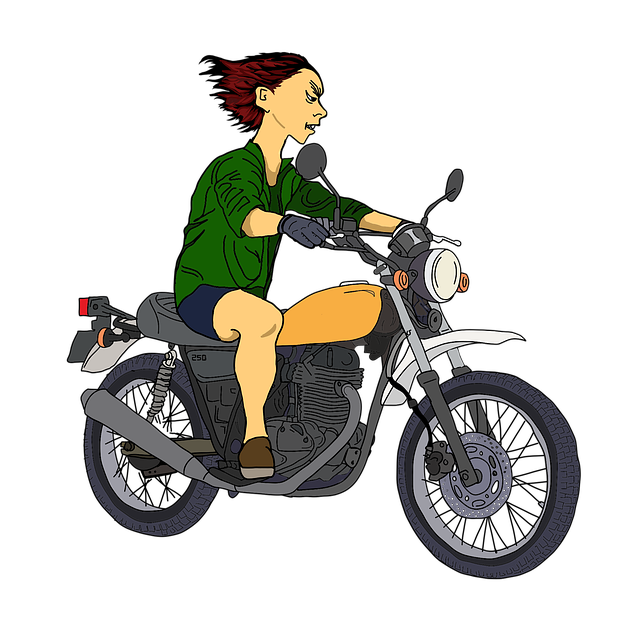 Free motorcycle reckless driving motorbike illustration