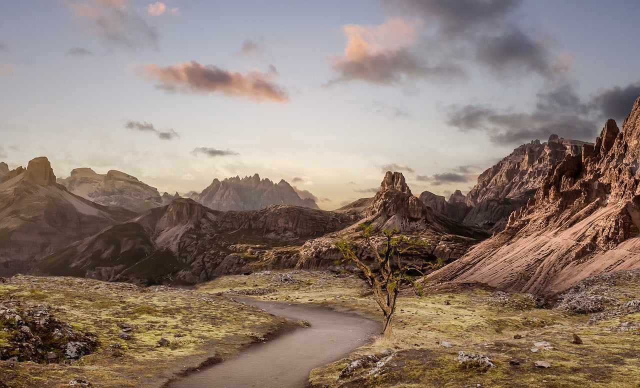 Montagne Alberi Colline - Foto gratis su Pixabay
