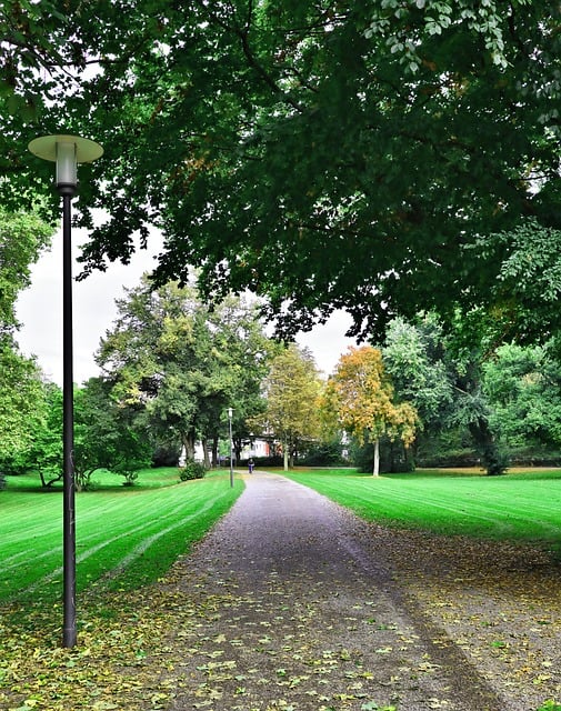Parque, Sendero, Speyer, Naturaleza