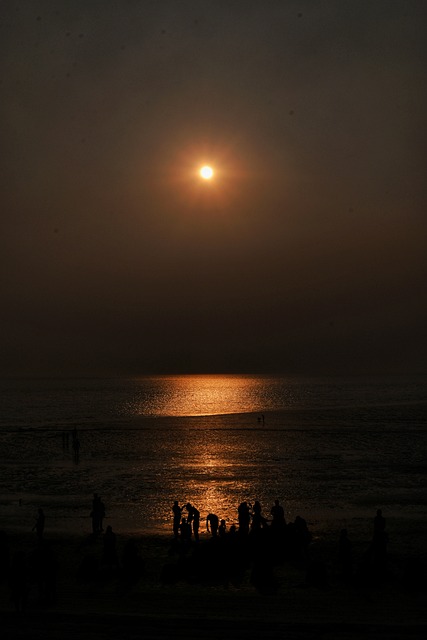 Free Seabeach Sunset photo and picture