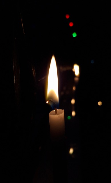 Free Diwali Diya photo and picture