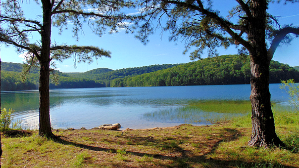 Natur, Landskab, Sø, Skov, Lempelse