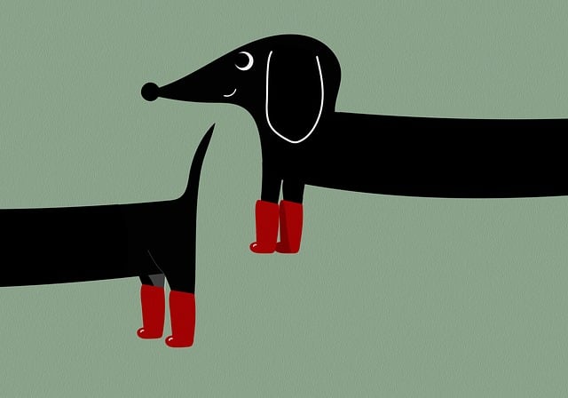 Dackel, Tier, Hund, Haustier, Karikatur