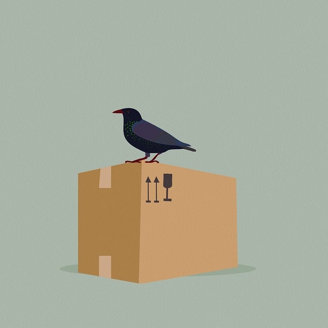 Free crow bird box illustration