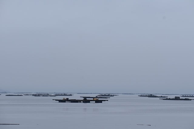 Vory, Ústí Řeky Arousa, Mušle, Ústřice