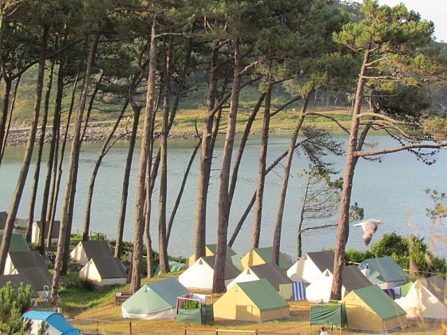Kempování, Cies, Galicie