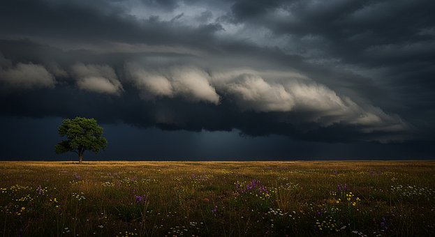 Free Nature Landscape illustration and picture